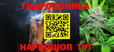 амф Обнинск