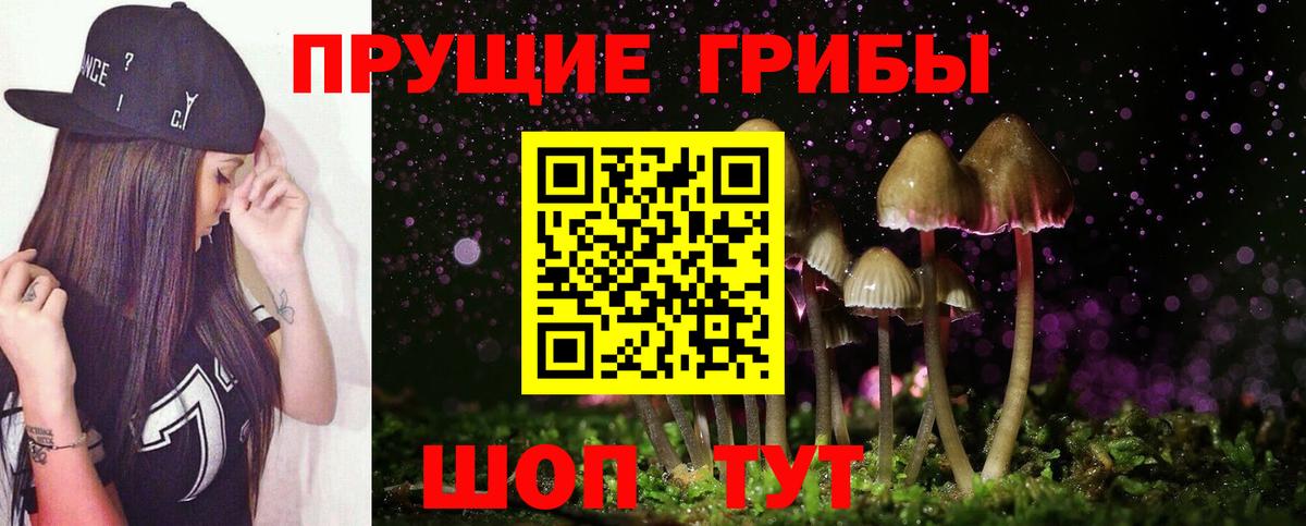 Галлюциногенные грибы прущие грибы Ступино