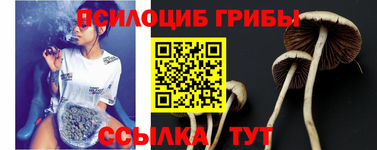 Ступино  сколько стоит  Вход с VPN  Галлюциногенные грибы Psilocybine cubensis 